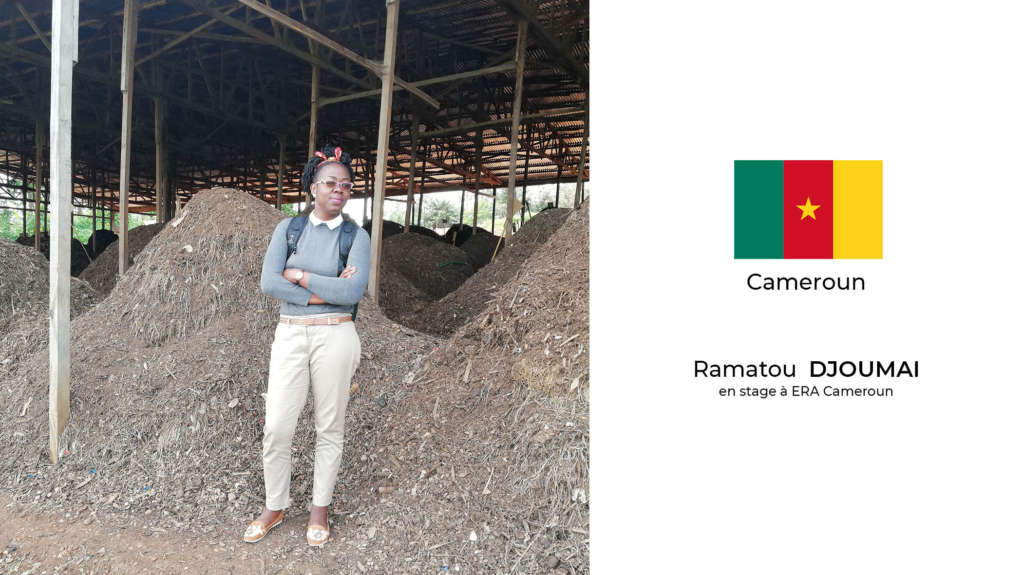 Université internationale de langue française au service du développement africain Opérateur direct de la Francophonie