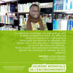 Komlan Environnement copie1