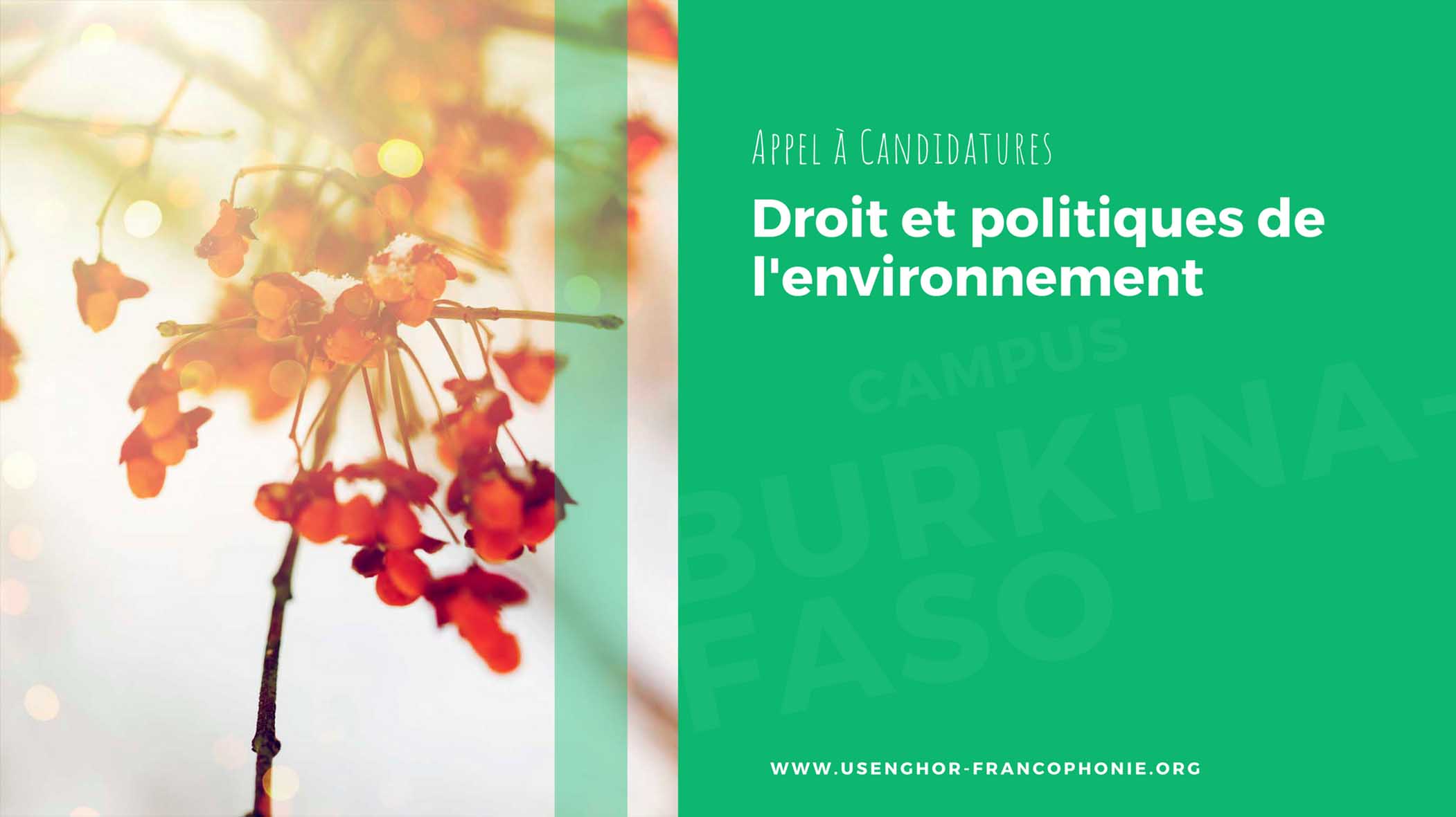 Droit et politiques de l'environnement