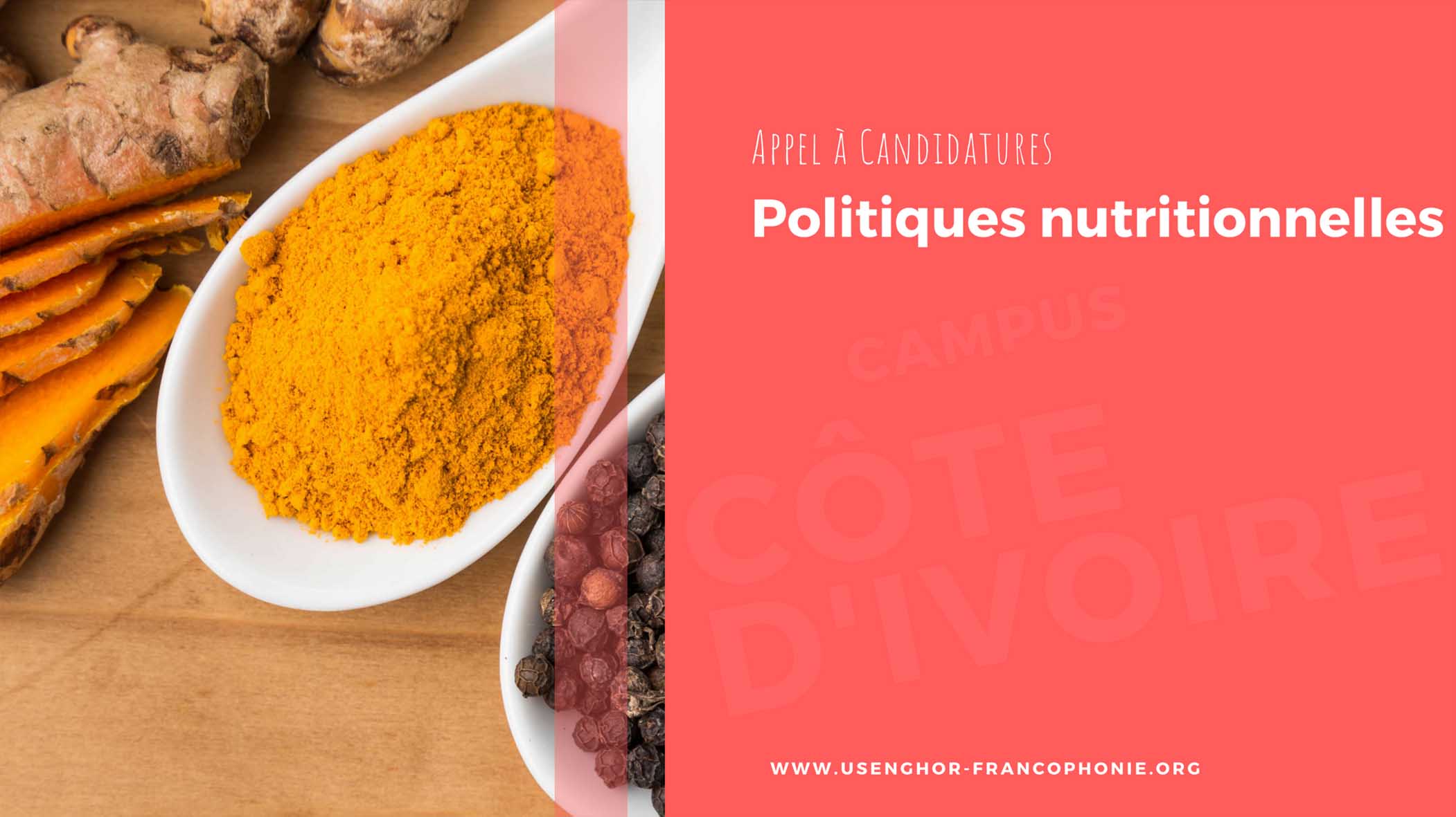 Politiques nutritionelles-cote-d'ivoire