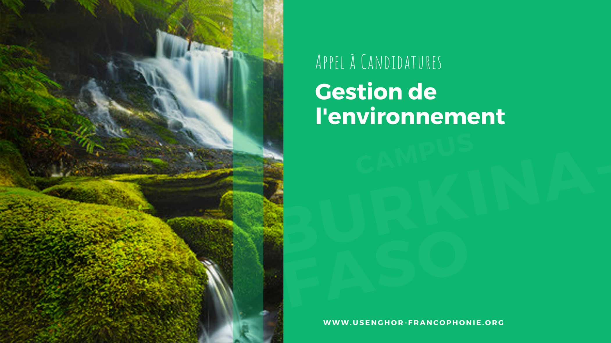 gestion de l'environnement