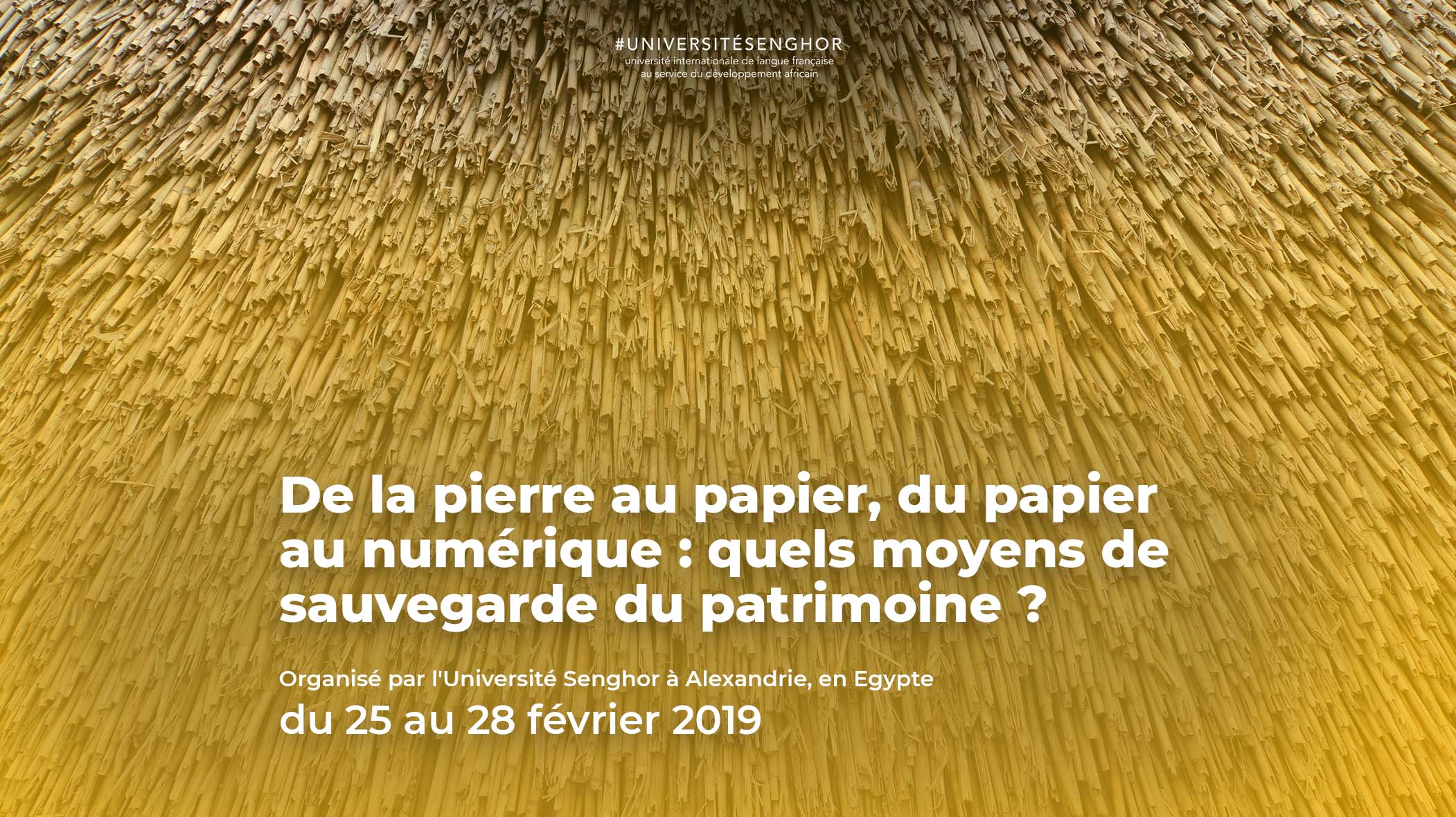 Université-pierre au papier-papier au numérique