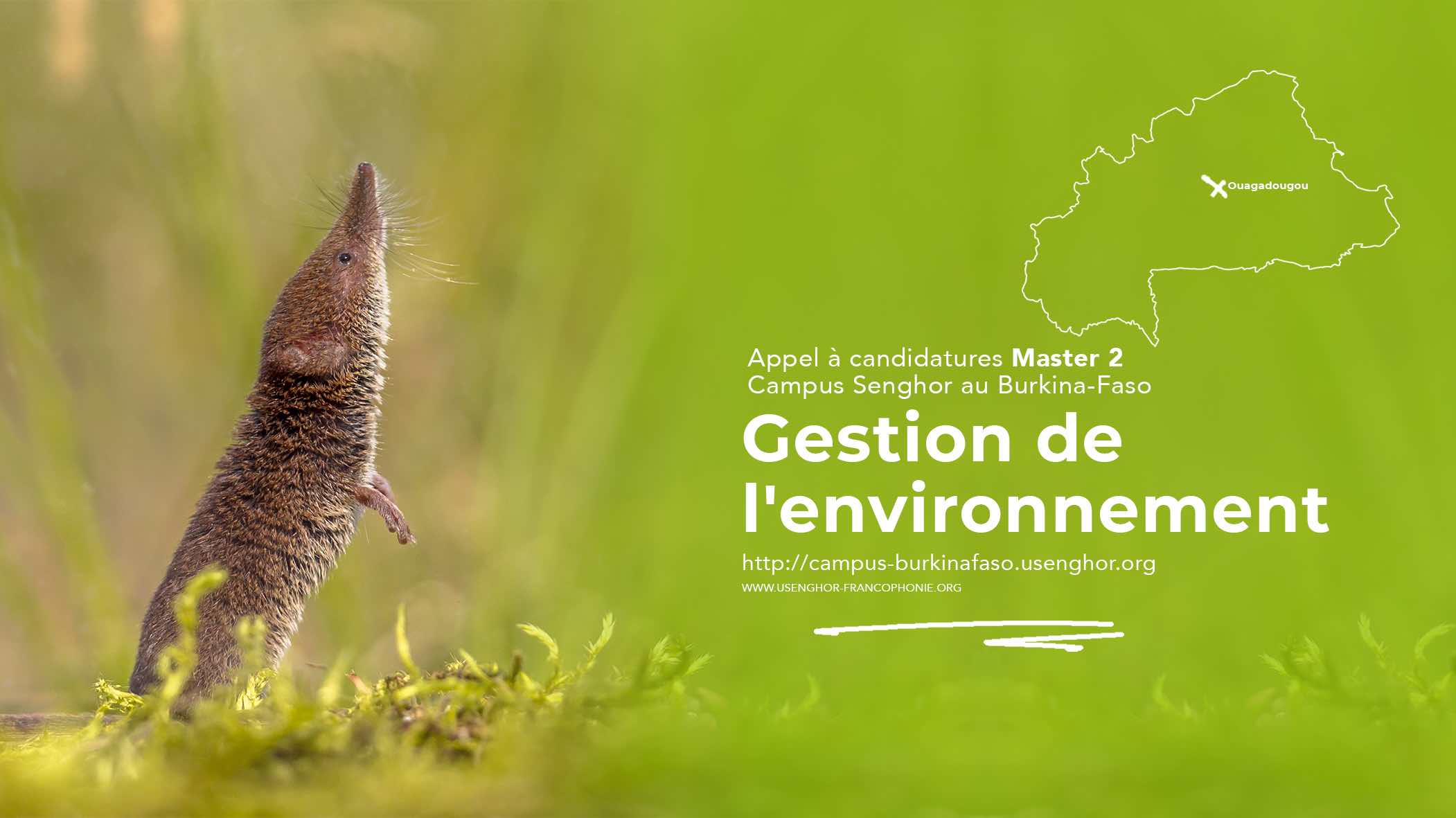 Master Gestion de l'environnement-universite senghor-operateur de la Francophonie