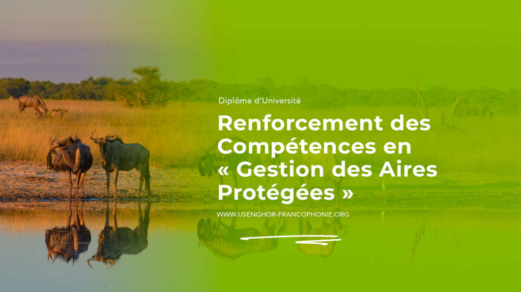 Appel à candidatures
