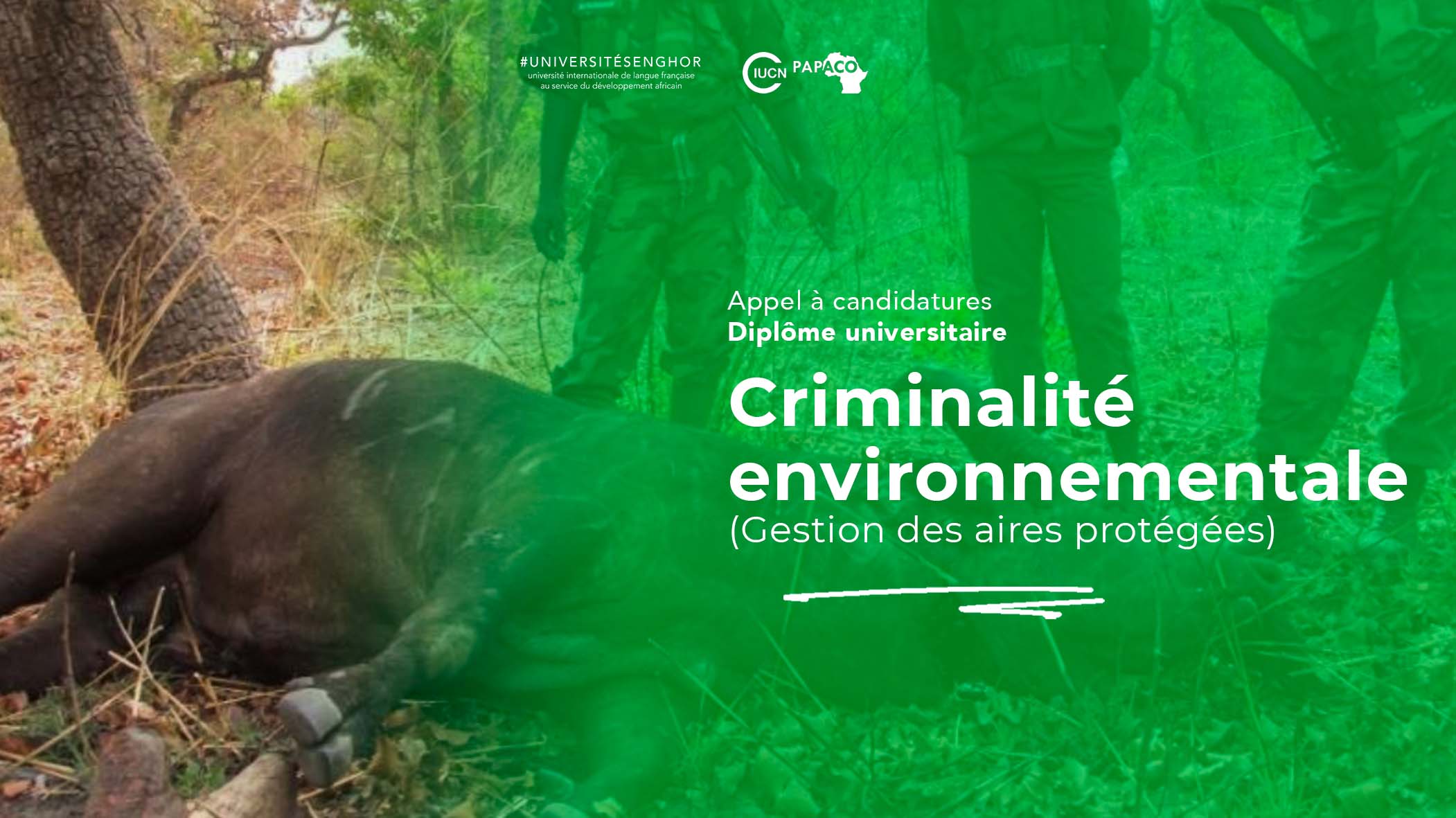 Criminalité environnementale (Gestion des aires protégées)