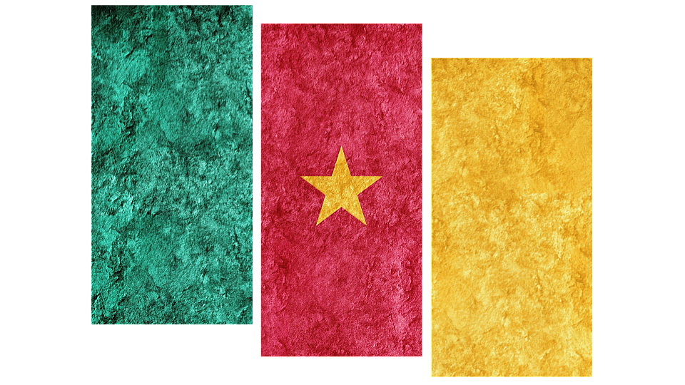 Cameroun flag